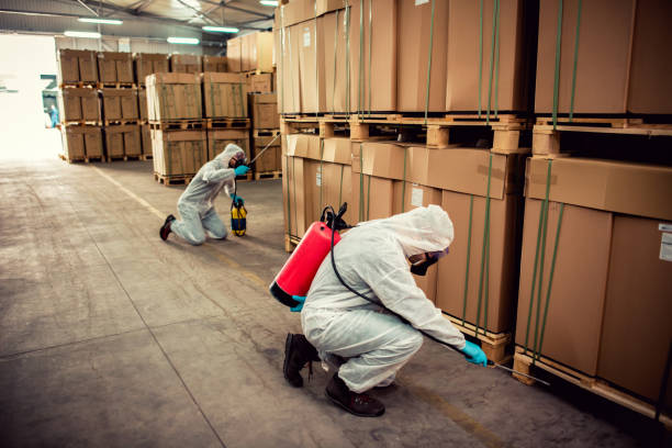 Trusted Berwick, PA Pest Control Experts