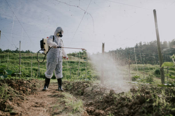 Best Ant Control Services  in Berwick, PA