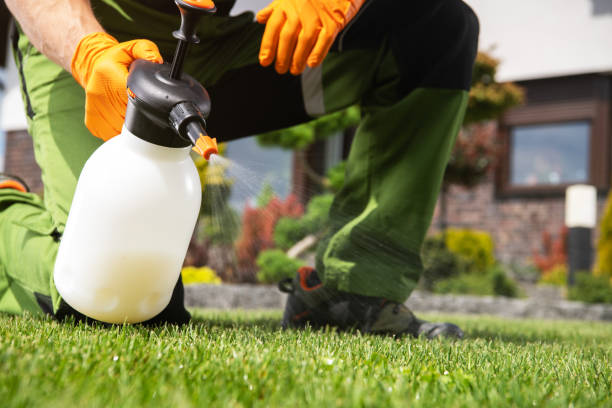 Wildlife Control Services in Berwick, PA