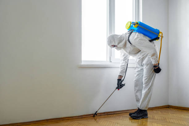Best Commercial Pest Control Services  in Berwick, PA