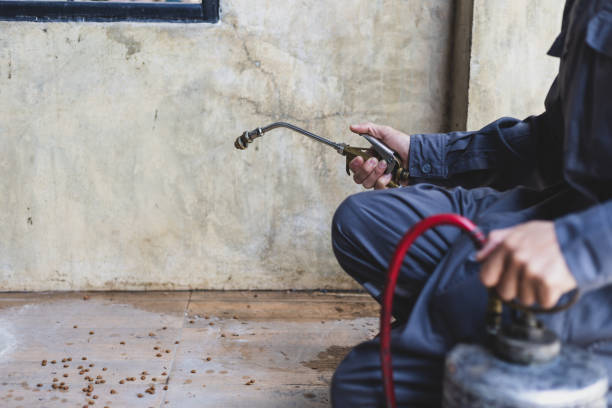 Best Residential Pest Control  in Berwick, PA